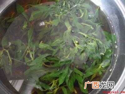 薄荷叶凉拌怎么做