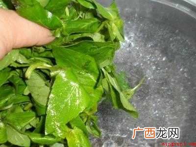 薄荷叶凉拌怎么做