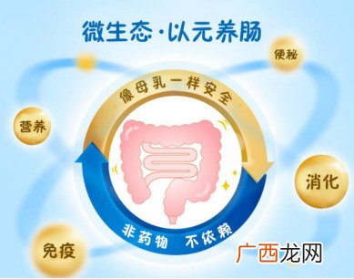 益生元是什么,关于益生元正确的说法是什么？