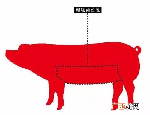 猪腩肉在哪个位置,龙圩烧腩做法？