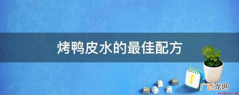 约4朵 配方:八角2克、花椒2克、草果5克 烤鸭皮水的最佳配方