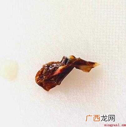 不去除虾能放心吃吗? 怎么洗虾