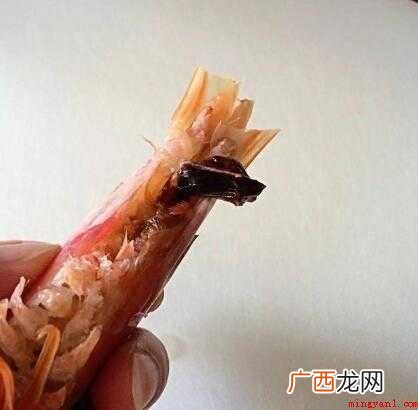 不去除虾能放心吃吗? 怎么洗虾