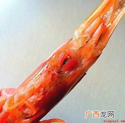 不去除虾能放心吃吗? 怎么洗虾