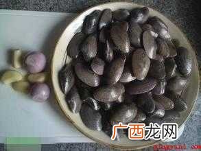 沙白贝的处理方法_健康频道 沙白怎么处理才干净