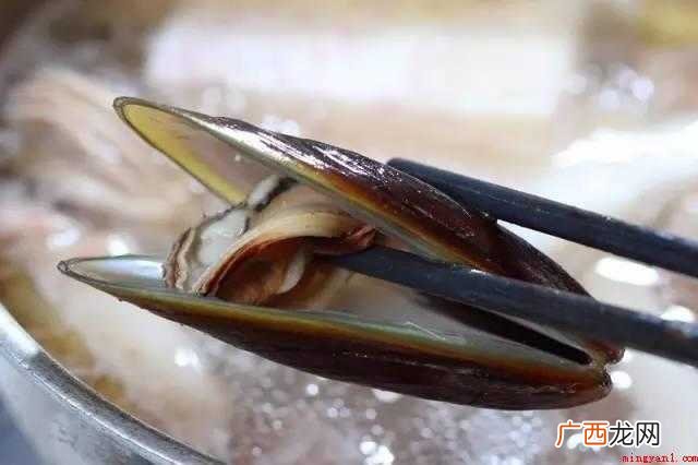 沙白贝的处理方法_健康频道 沙白怎么处理才干净