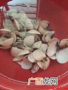 沙白贝的处理方法_健康频道 沙白怎么处理才干净