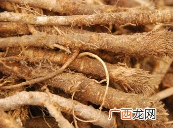 防风是什么,梭织防风面料是什么面料？