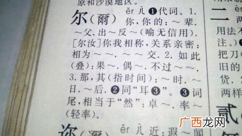 带有“尔”的组词有哪些,“尔”字能组成哪些词？