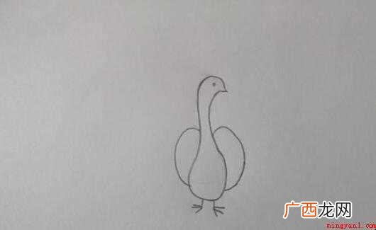 孔雀简笔画怎么画【图】 孔雀简笔画怎么画