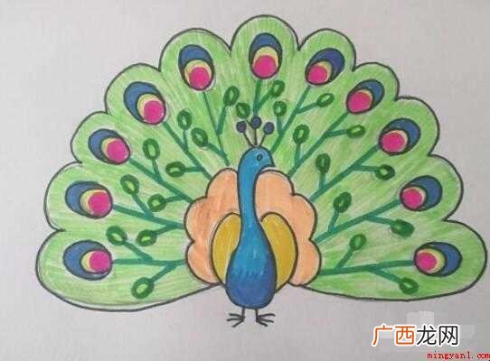 孔雀简笔画怎么画【图】 孔雀简笔画怎么画