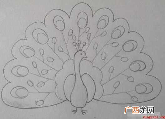 孔雀简笔画怎么画【图】 孔雀简笔画怎么画