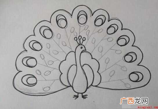 孔雀简笔画怎么画【图】 孔雀简笔画怎么画
