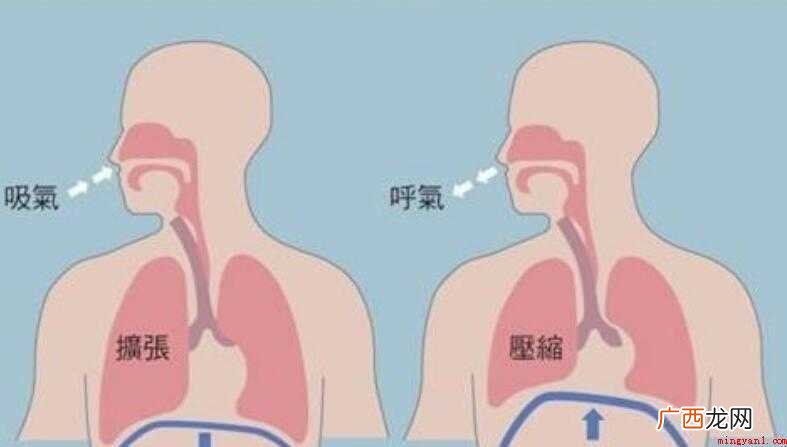 怎样练习腹式呼吸