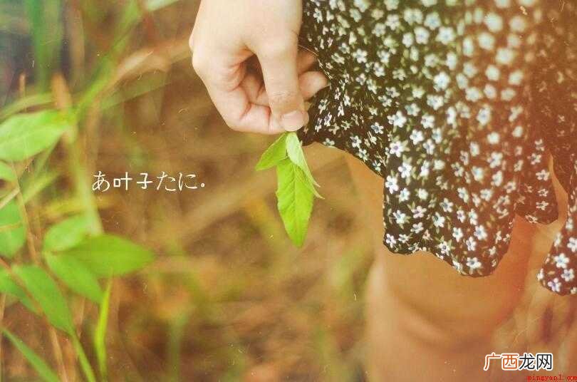 青涩的意思是什么