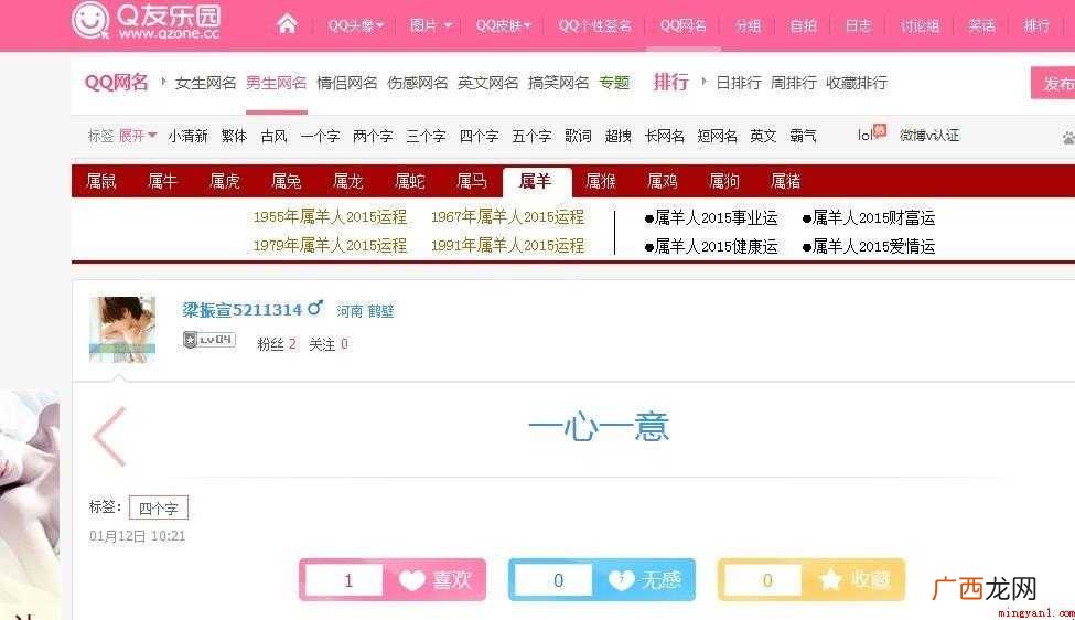 q友乐园有什么功能