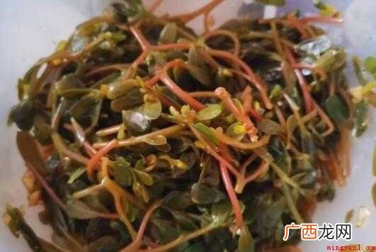 麻子菜,一年生草本,全株无毛 麻子菜做法