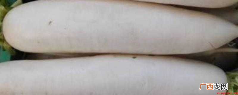 夏天多吃萝卜是很有必要的 夏天吃萝卜有对身体有好处吗