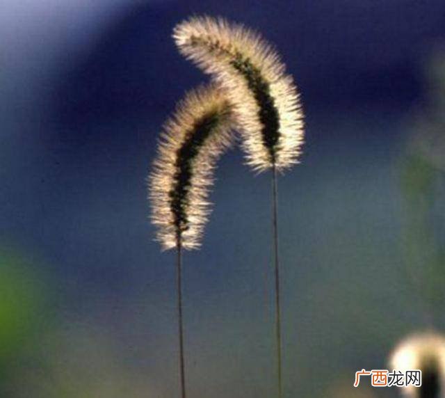 人在异乡的经典句子,上班离家远的说说？