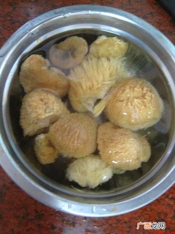 猴头菇提前一晚浸泡,隔一段时间换一遍水 猴头菇怎么做