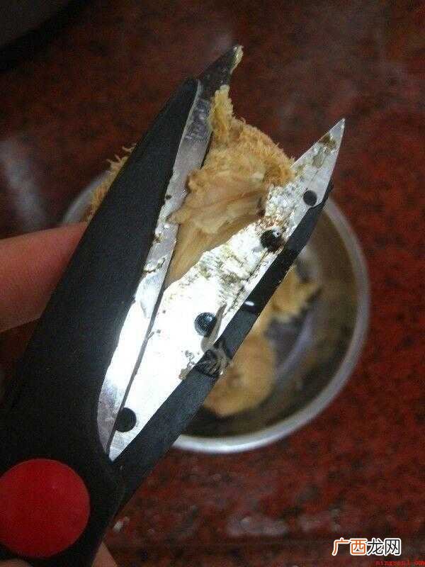 猴头菇提前一晚浸泡,隔一段时间换一遍水 猴头菇怎么做