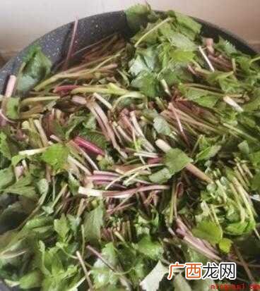 大叶芹的做法,简单又好吃 东北大叶芹怎么吃