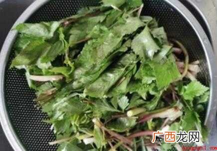 大叶芹的做法,简单又好吃 东北大叶芹怎么吃