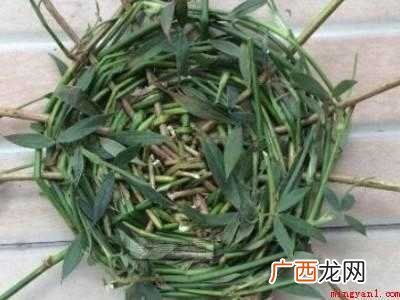 鸡蛋窝怎么做