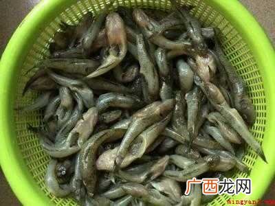 小鱼怎么吃
