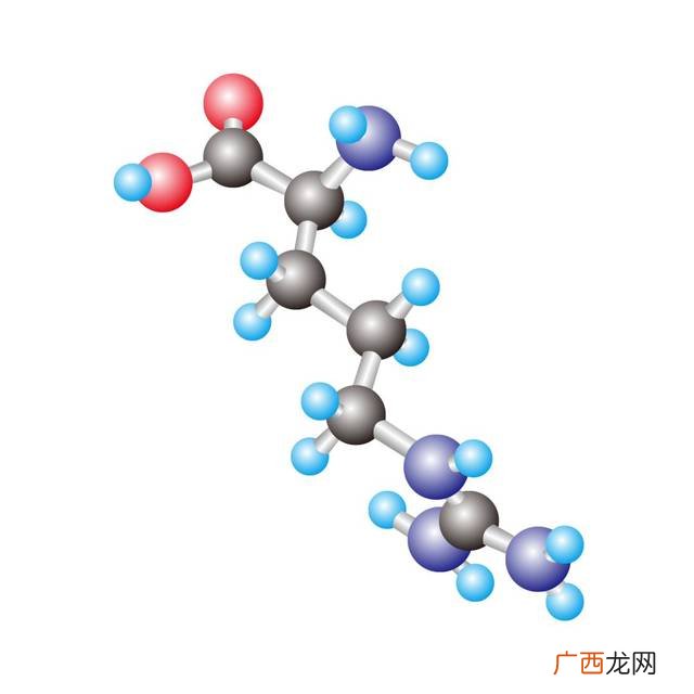 氨基酸和蛋白质的区别,蛋白质的结构和功能分别是什么？