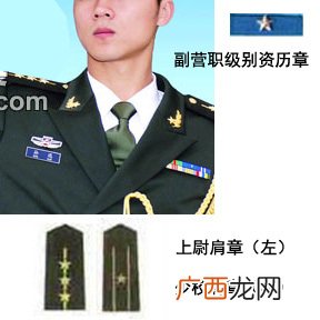 副营级是什么军衔,河北廊坊武警学院毕业后什么官衔？