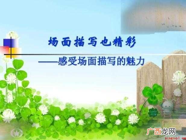 场景描写的作用是什么