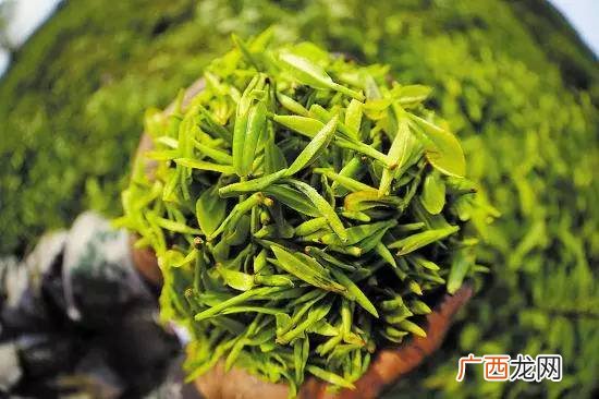 明前茶什么意思,翠芽明前茶是什么意思？