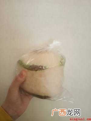 椰子吃椰肉的做法有哪些 椰子怎么吃椰肉