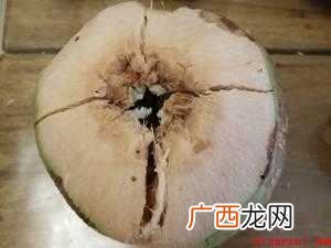 椰子吃椰肉的做法有哪些 椰子怎么吃椰肉