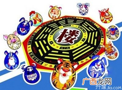 水是什么生肖,泉代表什么动物？