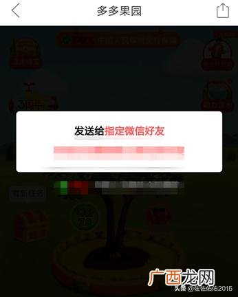 拼多多怎么加好友,多多果园怎么加好友？