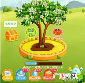 拼多多怎么加好友,多多果园怎么加好友？