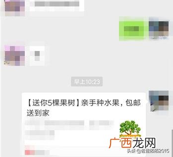 拼多多怎么加好友,多多果园怎么加好友？