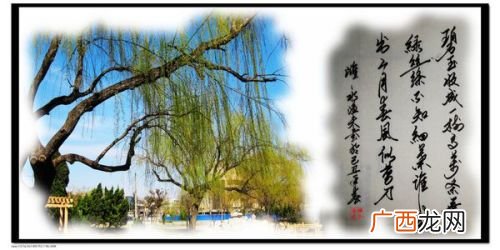 春风像什么春风像什么的比喻句,二月的春风还像什么？为什么？