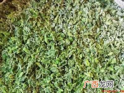 野菜苜蓿菜怎么吃共有五步 野菜苜蓿菜怎么吃