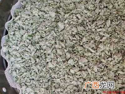 野菜苜蓿菜怎么吃共有五步 野菜苜蓿菜怎么吃
