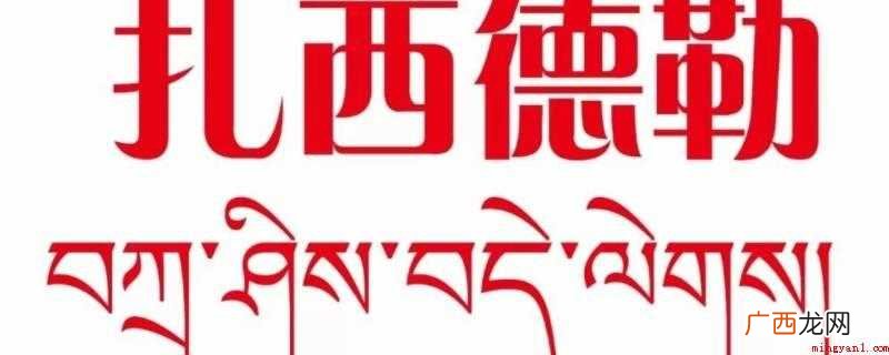 第四声 扎西德勒,shu 说了扎西德勒怎么回复