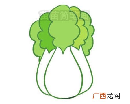 大白菜怎么画,一年级白菜怎么画？
