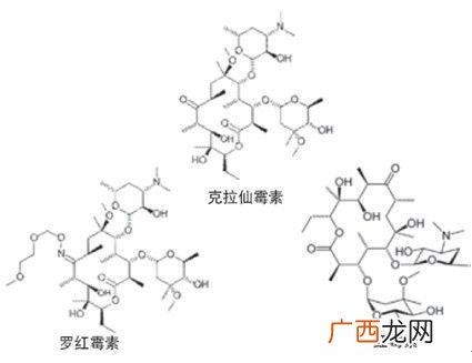 大环内酯类是什么,兽医临床常用的大环内脂类药物有哪些？
