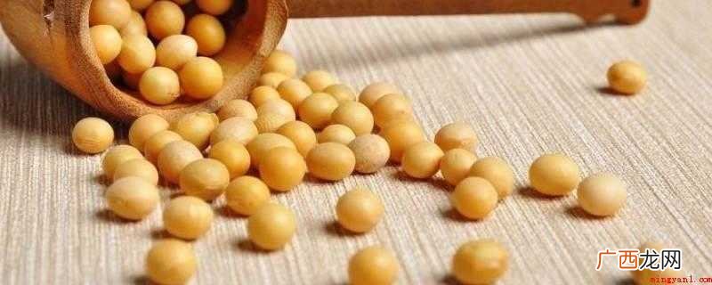 豆渣中的膳食纤维对促进良好的消化和排泄固体废物 干黄豆怎么炒又酥又脆