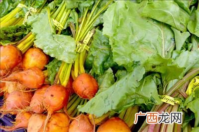 秋季什么蔬菜当季,北方秋天时令蔬菜有哪些？