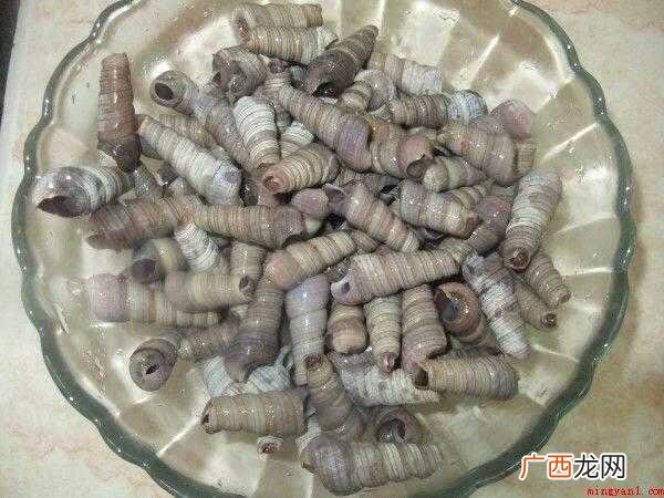 肋壳钉螺怎么做好吃?_健康频道 丁螺怎么炒
