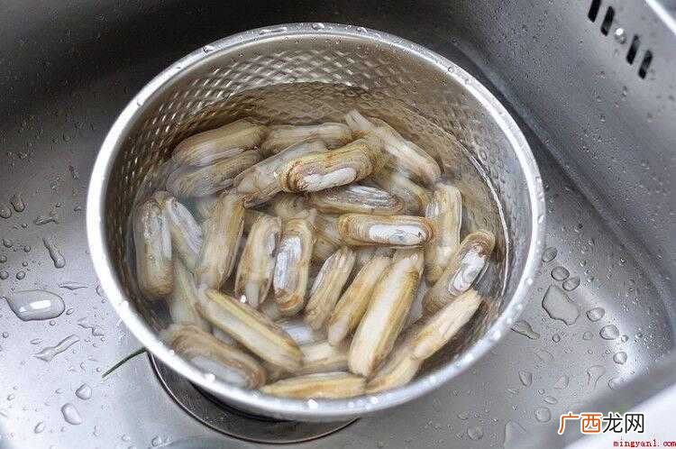 短水管摄食海水中食物颗粒 蛏子怎么炒好吃