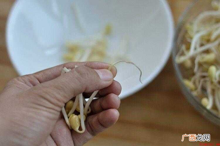 豆芽的营养价值_健康频道 豆芽怎么做好吃炒